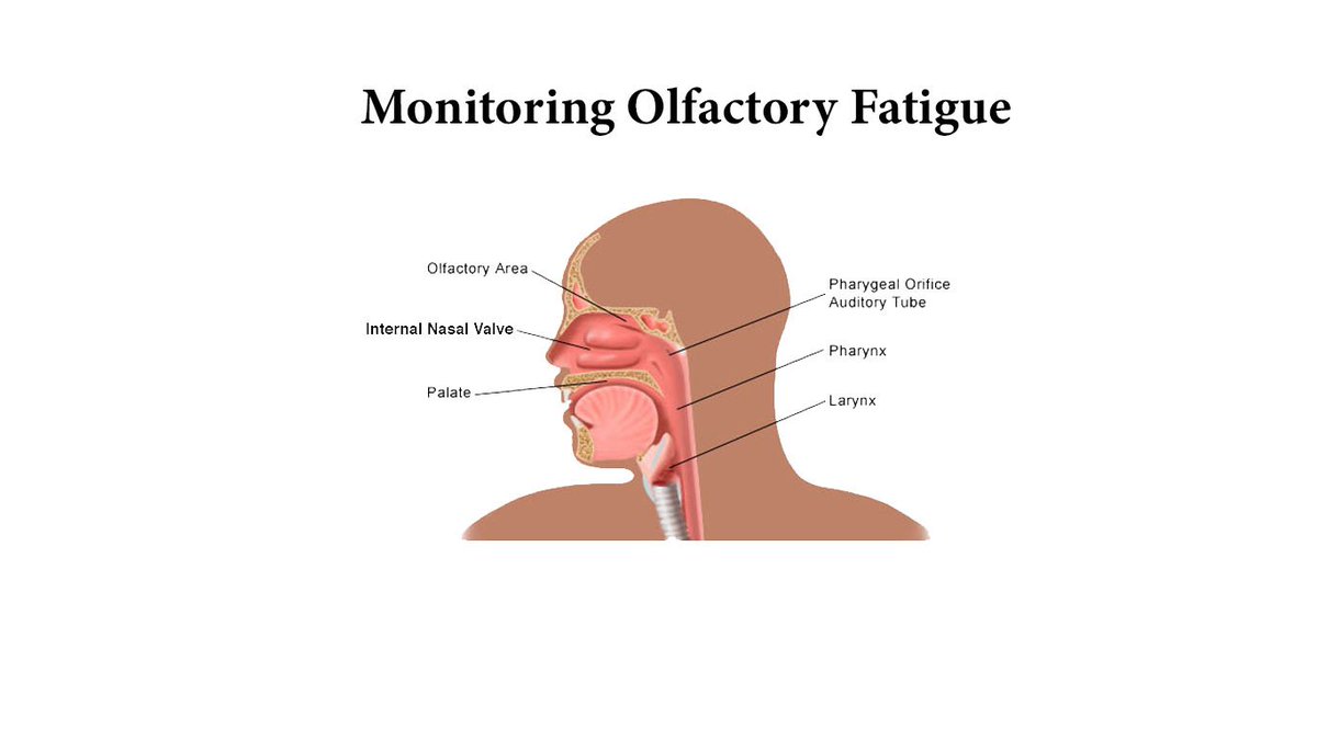 ChemDAQInc's tweet photo. Have symptoms of exposure to PAA but can't smell it? It's most likely due to olfactory fatigue. Olfactory fatigue is also known as nose blindness or odor fatigue, can lead to serious issues for workers. Learn more about olfactory fatigue at https://t.co/Py2RasPenm https://t.co/0jFNdKasx9