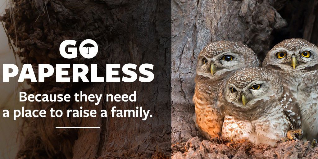 PWInsurance_ tweet picture