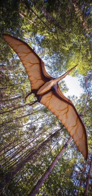 Crazy governor  #SonkoVsMillie https://t.co/yevhaEeJ2b<a href="/tag/sonkovsmillie"class="tags">#SonkoVsMillie</a>