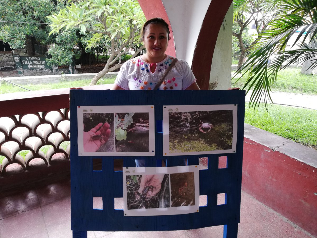 IndiceAmbiental's tweet photo. Exposición fotográfica sobre el Cangrejo Barranqueño de Cuernavaca especie en peligro de extinción, realizada en el Parque Tlaltenango, gracias a interés del ayudante municipal Biol. Alfredo Rodriguez https://t.co/wHKVjnM53k