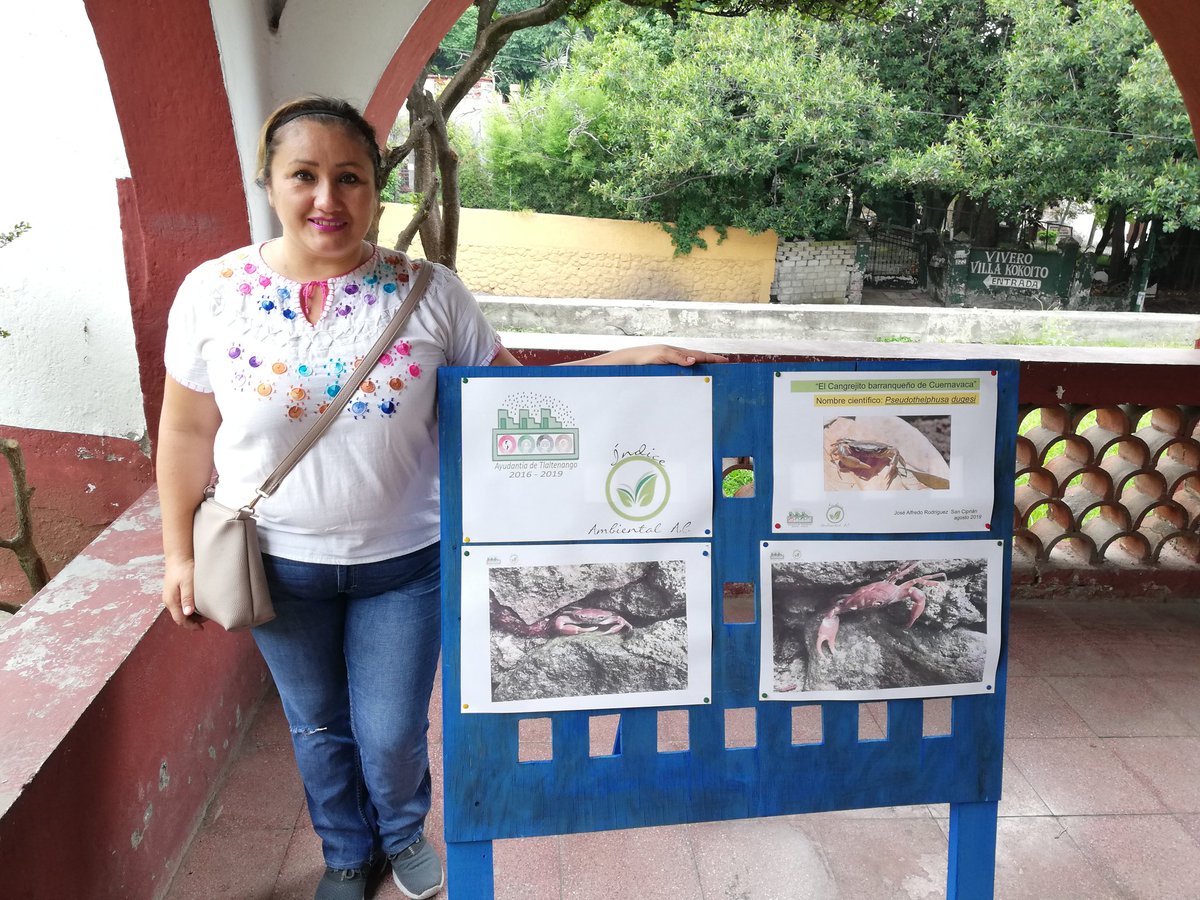 IndiceAmbiental's tweet photo. Exposición fotográfica sobre el Cangrejo Barranqueño de Cuernavaca especie en peligro de extinción, realizada en el Parque Tlaltenango, gracias a interés del ayudante municipal Biol. Alfredo Rodriguez https://t.co/wHKVjnM53k
