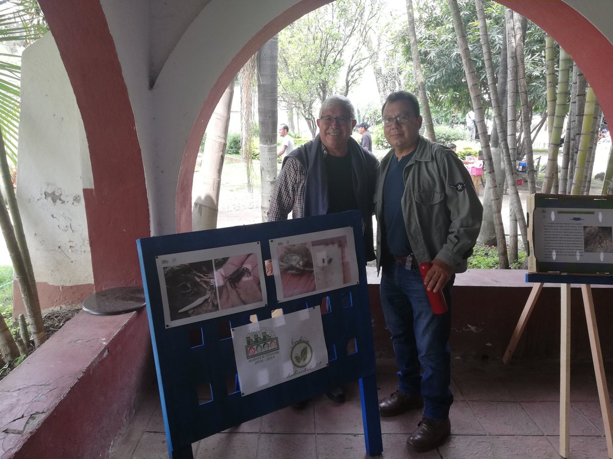 IndiceAmbiental's tweet photo. Exposición fotográfica sobre el Cangrejo Barranqueño de Cuernavaca especie en peligro de extinción, realizada en el Parque Tlaltenango, gracias a interés del ayudante municipal Biol. Alfredo Rodriguez https://t.co/wHKVjnM53k