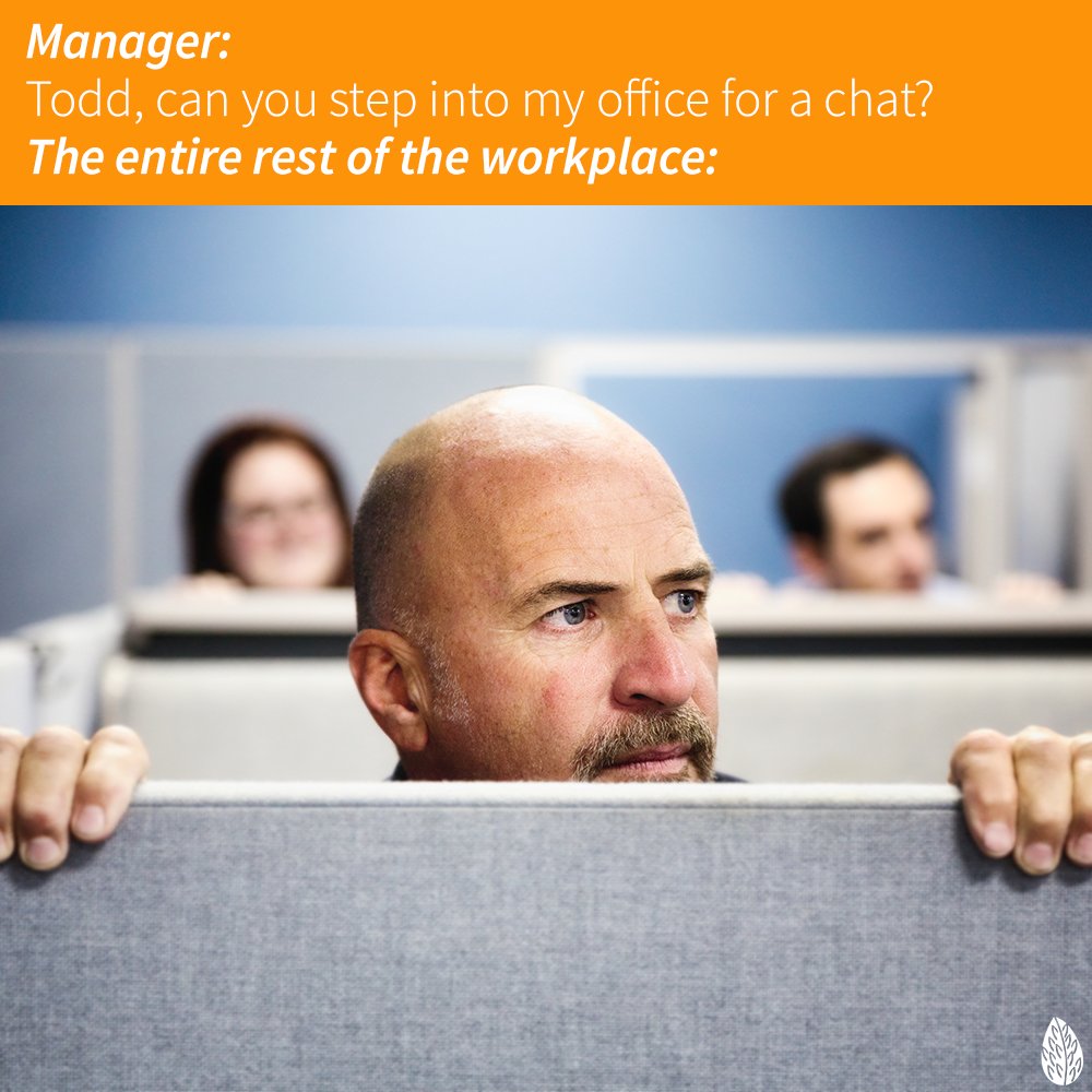 WildMagnoliaCre's tweet photo. It's a great excuse to break up a mundane #Monday with a bit of eavesdropping on important business conversations. #work https://t.co/l9ps76Xusd
