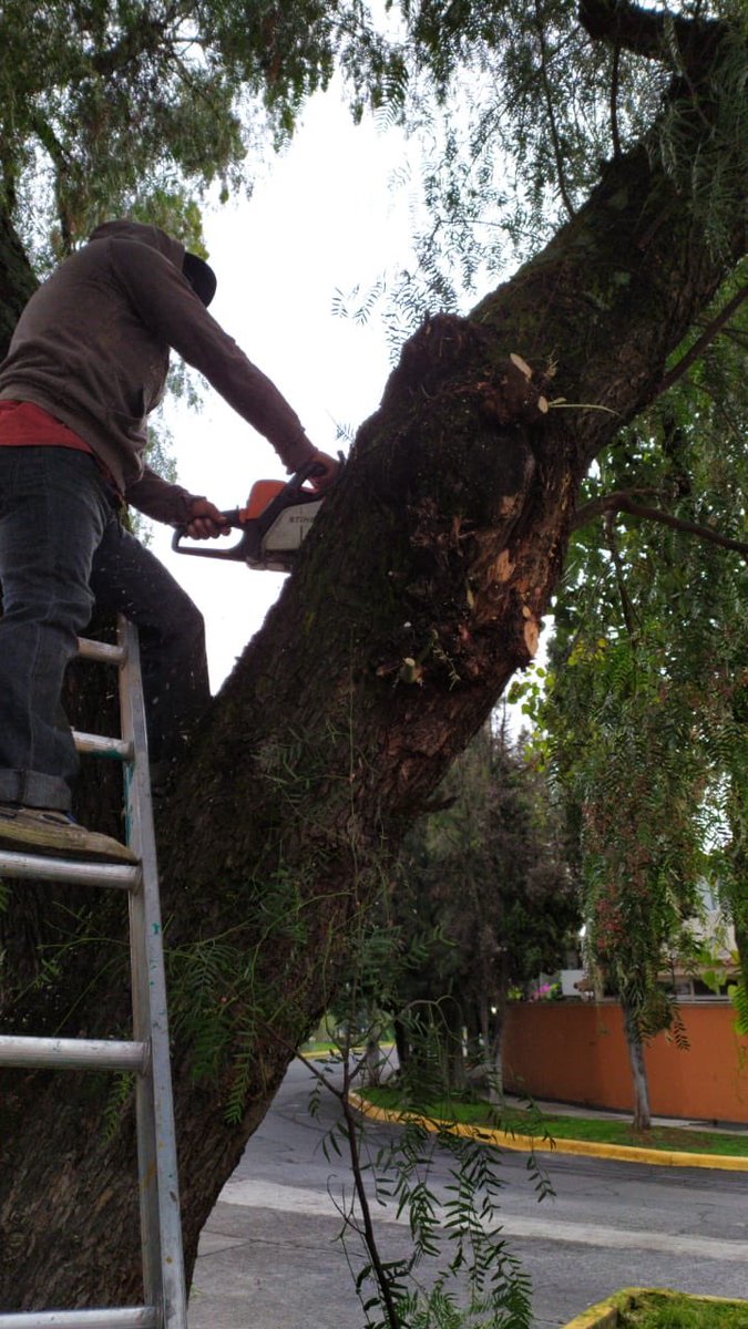 Colonos de Ciudad Satélite AC tweet media