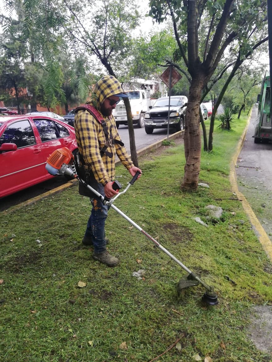 Colonos de Ciudad Satélite AC tweet media