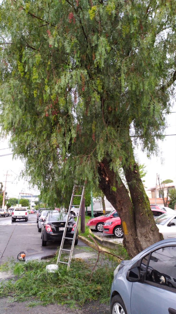Colonos de Ciudad Satélite AC tweet media