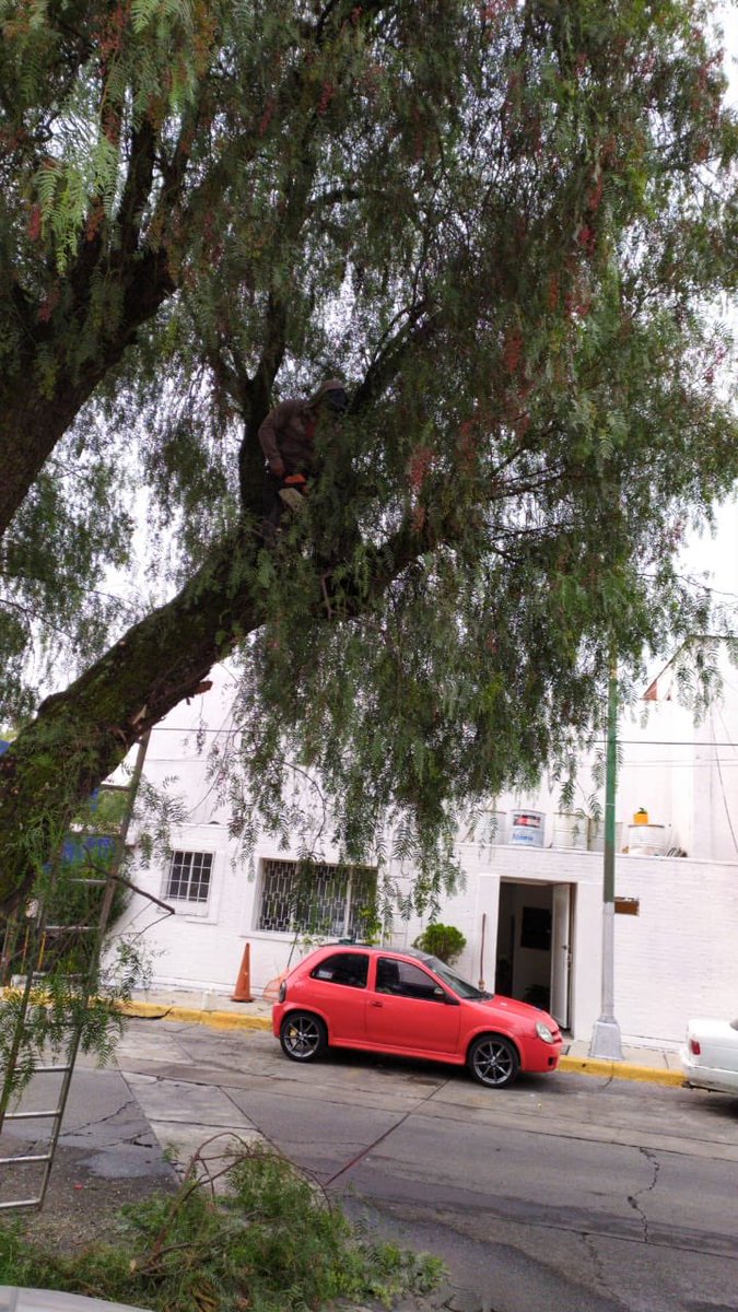 Colonos de Ciudad Satélite AC tweet media