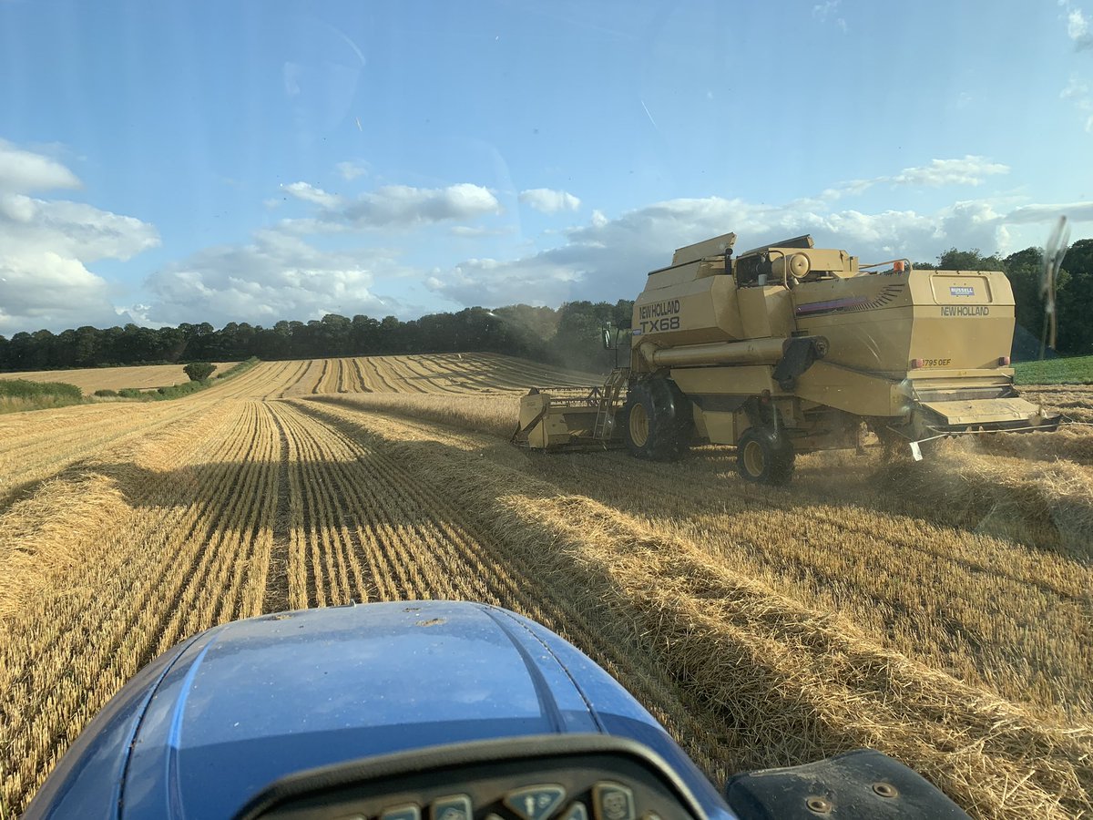 joe_weston3's tweet photo. Some proper tackle #newholland #tx68 #harvest19 #canbarleykeepup https://t.co/2qtvJm3xvK