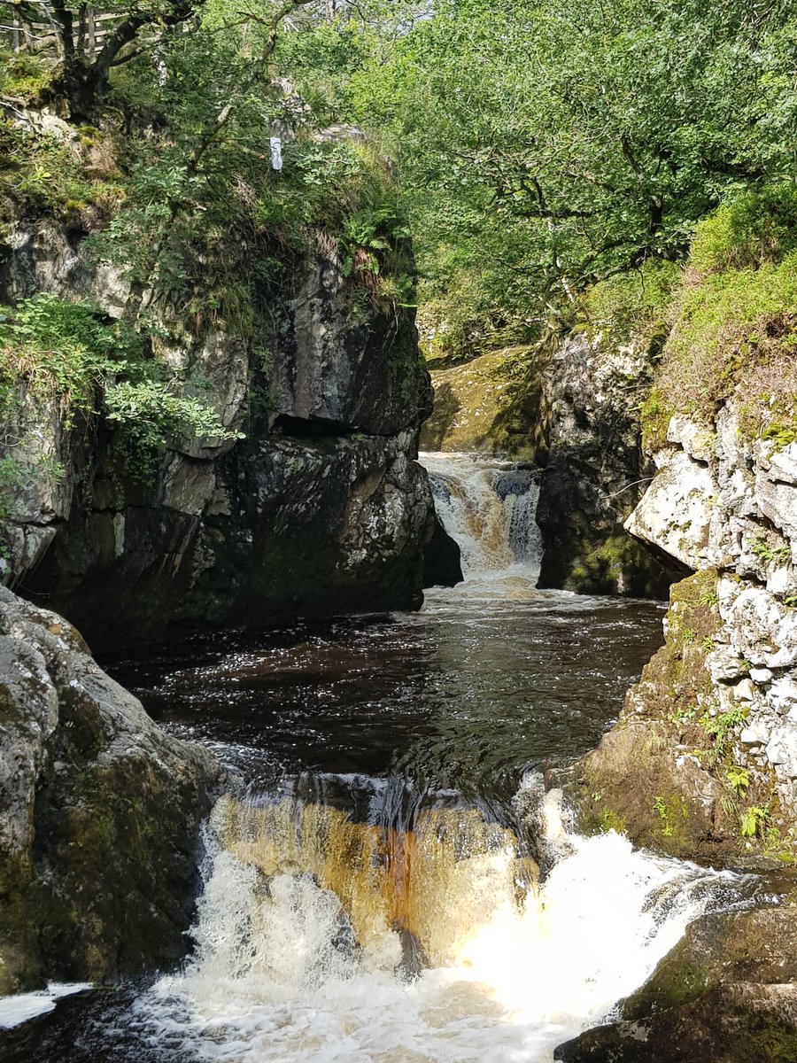 MrsListerStJ's tweet image. Geography, history and art meet up together.  A fabulous trail in Ingleton @PEcoSchools @WoodlandTrust #awesomescenery #Godscreation