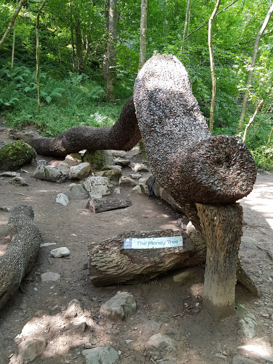 MrsListerStJ's tweet image. Geography, history and art meet up together.  A fabulous trail in Ingleton @PEcoSchools @WoodlandTrust #awesomescenery #Godscreation
