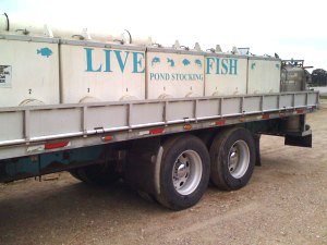 ElkCityCoop's tweet photo. FISH DAY!!!
Stock My Pond
Friday, August 23rd, 4:00-5:00 p.m.
No pre-orders necessary just show up. 
For more information call
Stock My Pond 501-676-3768
or Farmers Union Co-op 580-225-0191
#fishtruck #stockmypond #elkcityok #farmerscoop #outdoorlife #fishing #fishinglife #fish https://t.co/qTs4Duv7JE