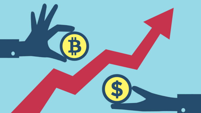 ItBitco's tweet photo. (Il bull run di bitcoin? E’ appena iniziato! Sprizza ottimismo l’ultima previsione di Mike Novogratz) #Bitcoin IT-BITCOIN https://t.co/MD7Kdzjigu https://t.co/FFGJqshrEd
