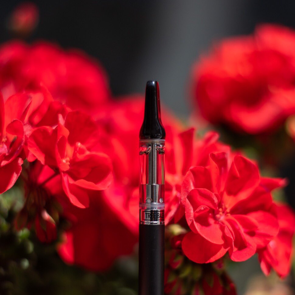 TreeBaseKlear_'s tweet image. No tint, no filters, no fillers. – #THEDIFFERENCEISKLEAR.