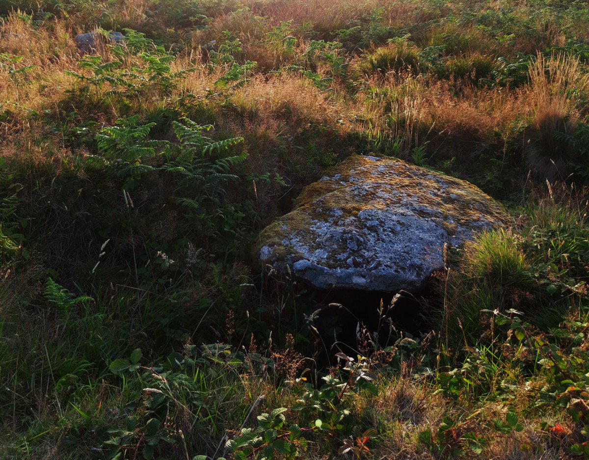 I've zero evidence for this so please don't quote me but these are the things that preoccupy me as I wander our ancient sites. Portherras Barrow is near the Carn. Central cist with its capstone intact. Stone circles, holed stones and much more all close by. #PrehistoryOfPenwith