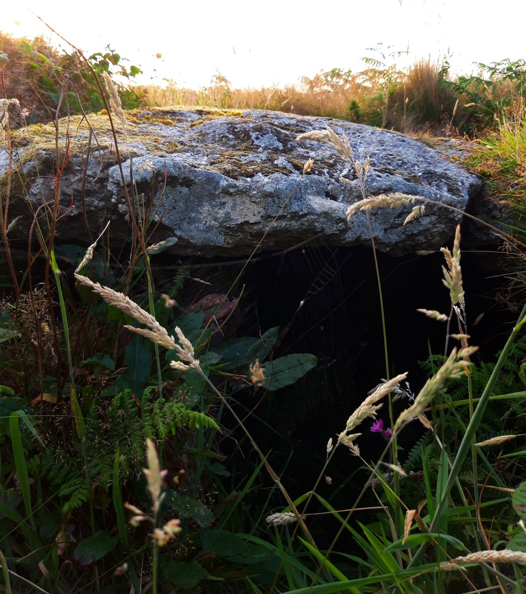 I've zero evidence for this so please don't quote me but these are the things that preoccupy me as I wander our ancient sites. Portherras Barrow is near the Carn. Central cist with its capstone intact. Stone circles, holed stones and much more all close by. #PrehistoryOfPenwith