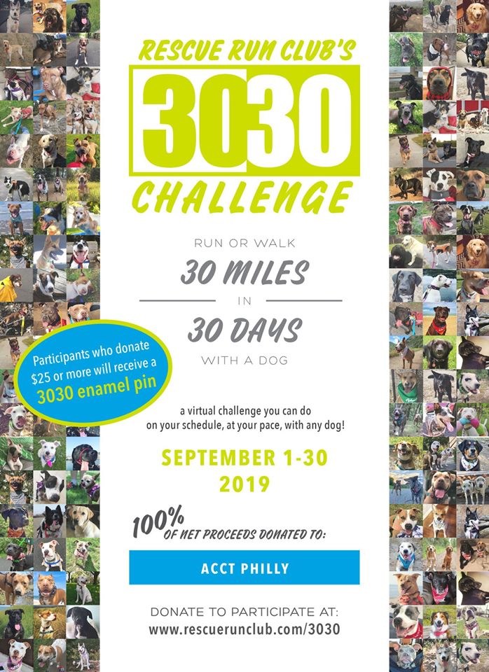 ACCTPhilly's tweet image. Would you walk or run 30 miles to make a shelter dog happy? What if you could do it in 30 days? Join Rescue Run Club's 3030 Challenge in September, with proceeds benefiting ACCT's canine shelter programs. rescuerunclub.com/3030 #TakeACCTion #3030 #RunForestRun