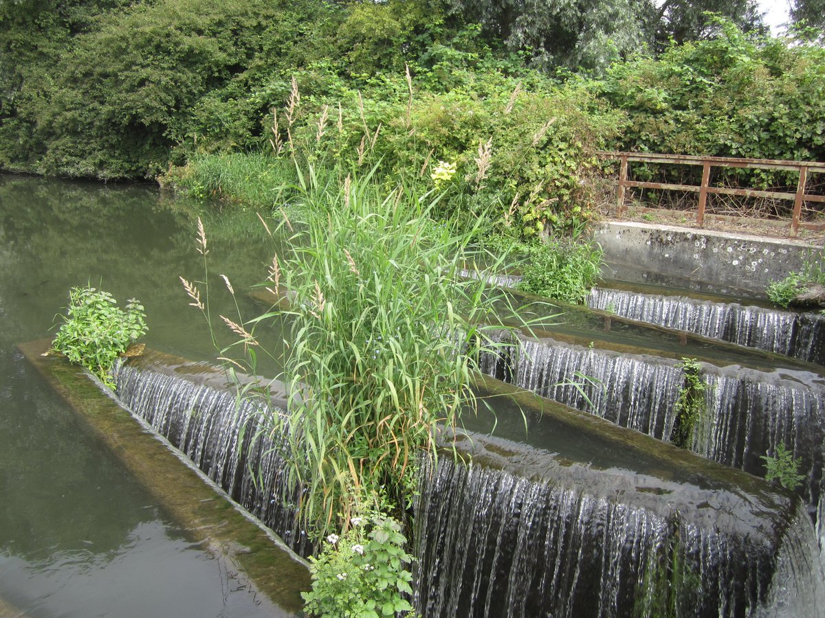 TaniaCrosse's tweet image. Walking the #Kennet and #Avon #Canal recently

@HannahKateSmith @VickyJoss1 @BrooDoherty @RosieDeanAuthor @AuthorSASplus @NinaHarrington @lizharrisauthor @julieoroberts @janet_gover  @Reviewerlady