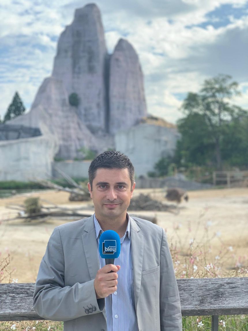 pybureau's tweet photo. En direct ce matin du @zoodeparis sur @francebleuparis pour évoquer les actualités du #ParcZoologique de #Paris connu historiquement sous le nom de #zoo de #Vincennes: https://t.co/cGN4hrBBnY #RVSauvage #Afrique #Girafon #Odja #Biodiversité #5AnsZoodeParis https://t.co/zdBlYtAX6q