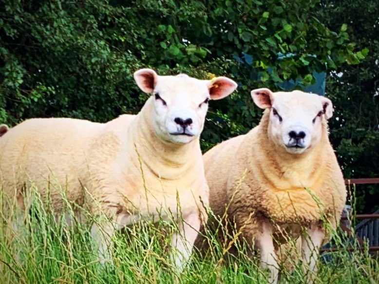 DefaidTexel's tweet photo. #otherangles https://t.co/2Ai6UY0JEx