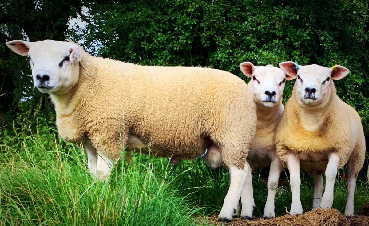DefaidTexel's tweet photo. #otherangles https://t.co/2Ai6UY0JEx