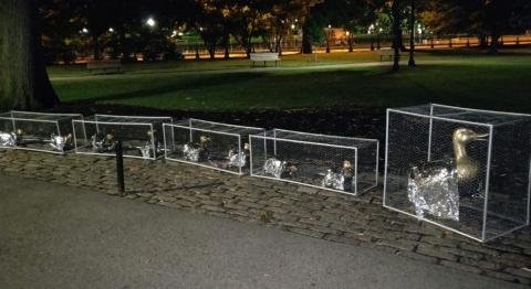 Actipedia tweet media