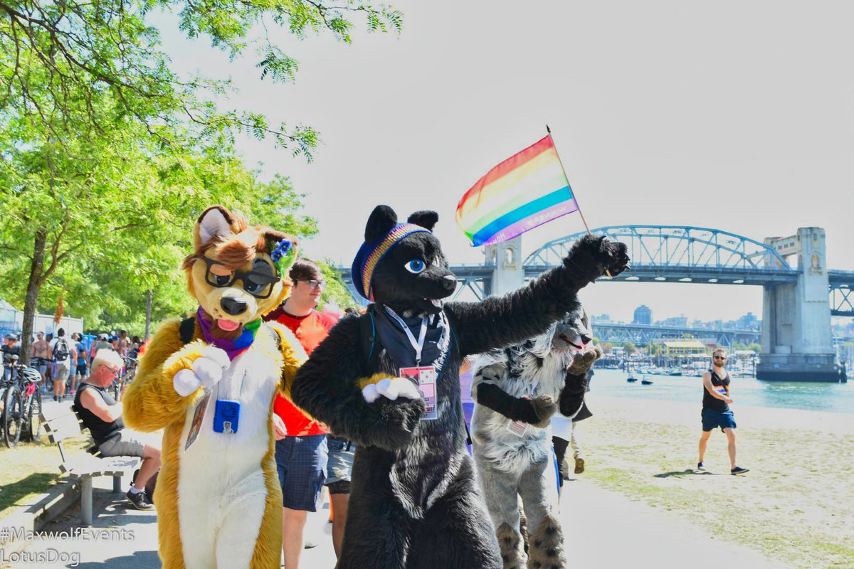 BigMaxwolf's tweet photo. Had a wonderful time at #VancouverPride with the rest of the pack yesterday!

🔗 https://t.co/SGD4ezU6WG

#furry #fursuit #maxwolfevents #pride https://t.co/tn7jQ3QKnB
