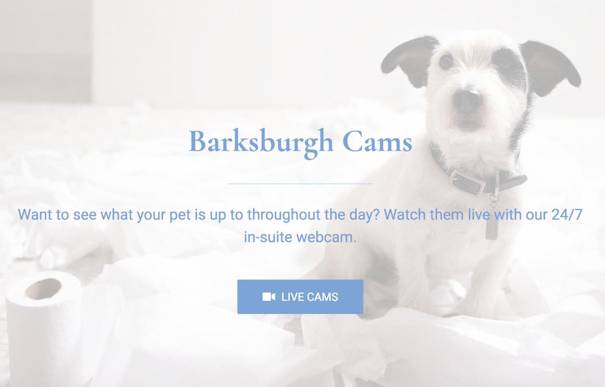 barksburgh pet resort and daycare