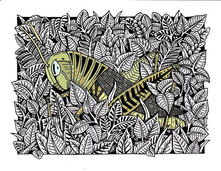 Just finished this one!
#art #illustration  facebook.com/12570645610528…