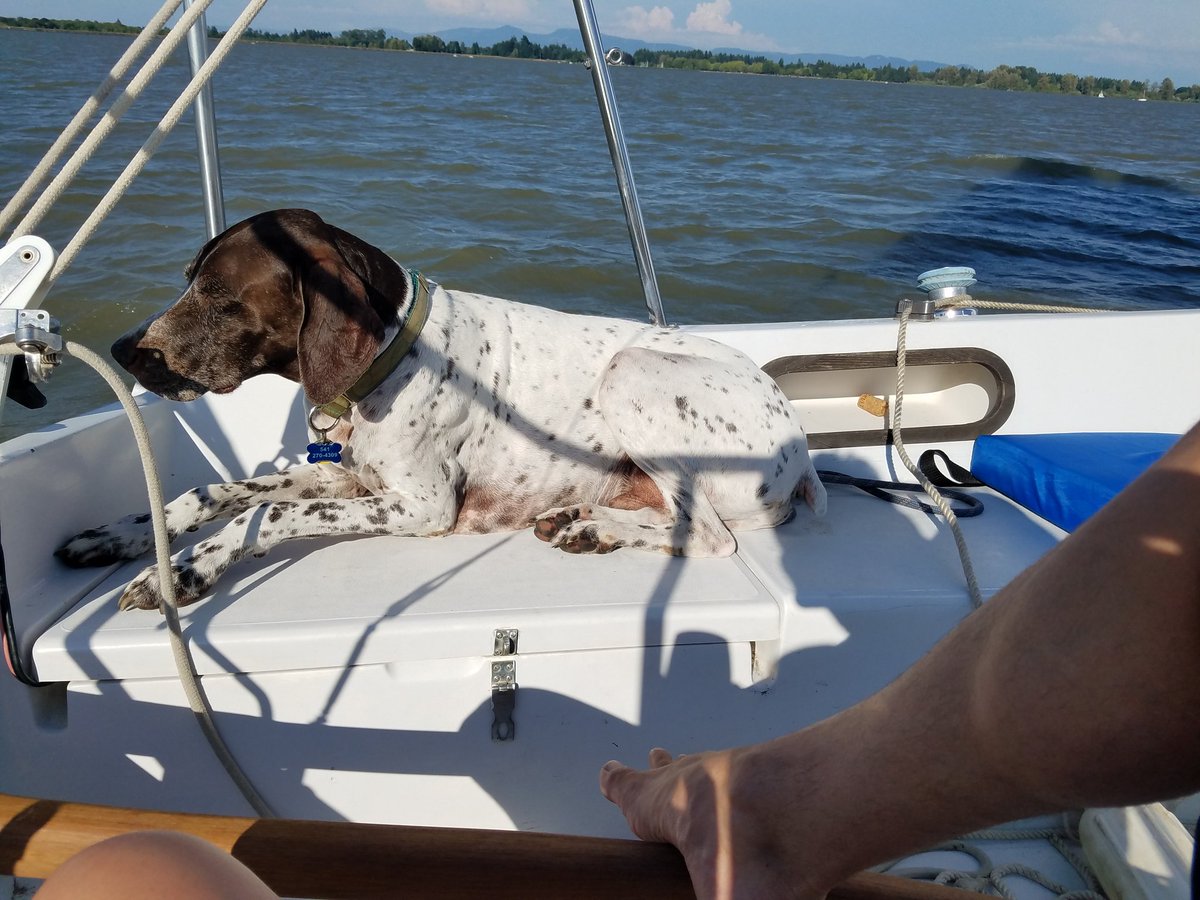drkenbishop's tweet photo. Sailed by the @eugeneyachtclub yesterday, sounded like you guys were having a nice little party over there! https://t.co/WLaNUFraoO