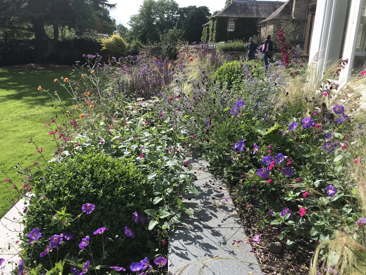 WaterGemsAlba's tweet photo. We started a second phase of work at a garden in the South side of Edinburgh today. Last year’s planting by Secret Gardens Design was looking stunning in the sunshine. https://t.co/1UPZTTAj21