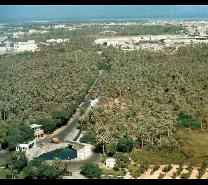 منظر "#عين_عذاري" الذي لا يزال قابع في مخيلتي وأمام ناظري.. منظر العين بعد الغروب والنخيل تحتضنها والبدر مكتمل.. هذا المنظر يسوى كل ترفيه مصطنع جاء بالردم اليوم.. كم ذاكرة ردمتم مع عذاري؟!

هذه عذاري لمن لا يدري
جنةٌ صارت كقفرِ
أو عروسٌ في صباها 
لُحِدت في جوفِ قبرِ 

#البحرين