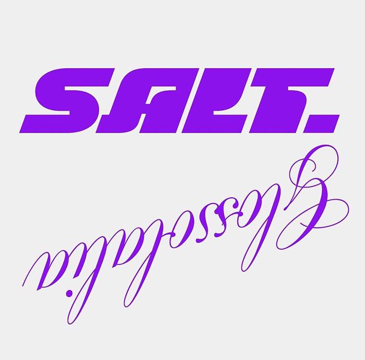 SALTeditorial's tweet photo. SAVE THE DATE: issue 10 of SALT. Magazine, Glossolalia, is launching on the 25th of August at @cell_project_space with a marathon day of radio programming with @montezpressradio and a party in the evening. More details to come, stay tuned 💥☀️📚📻🎙💜 https://t.co/l4iURQpyt1