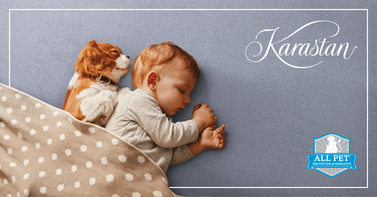 RocFlooringKB's tweet photo. Discover luxury carpet that's #petfriendly as well. Now through September 4th, save on select styles of Karastan SmartStrand carpet at Rochester Flooring Kitchen &amp; Bath. Stop by our Jefferson Rd Showroom in Henrietta today for all of your carpeting needs! https://t.co/rcFxf6zbPT