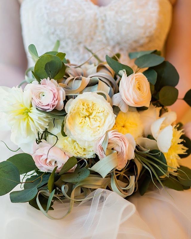 Tillandsia Xerographica 😍 The BEAUTIFUL light green air plant that you see intertwined here! Pairs perfectly with soft colored florals! (📸 credit: @coryryanphotography) ift.tt/31lVnEG
