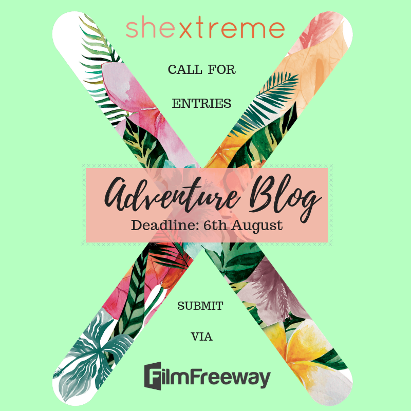 shextreme tweet media