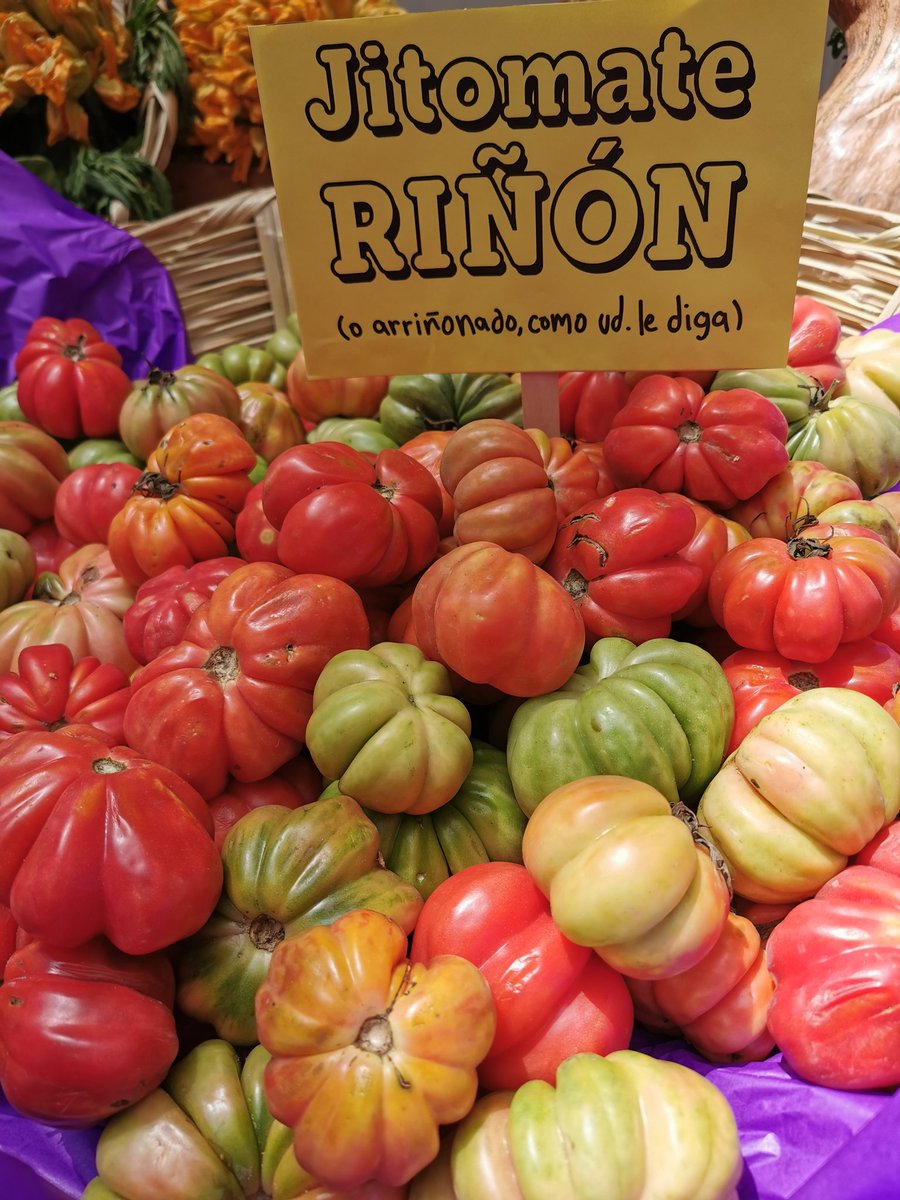 FoodandTravelMX's tweet photo. #DaleChamba al chile pasilla Mixe, al jitomate arriñonado, al frijol ayocote, al chile chilhuacle, al frijol vaquita, a la manzana panochera, a la pepita de calabaza gruesa, al chile poblano, a la pera de San Juan, entre otros. ¡Prepara diversos platillos! @WWF_Mexico https://t.co/y04ZF8MDR7