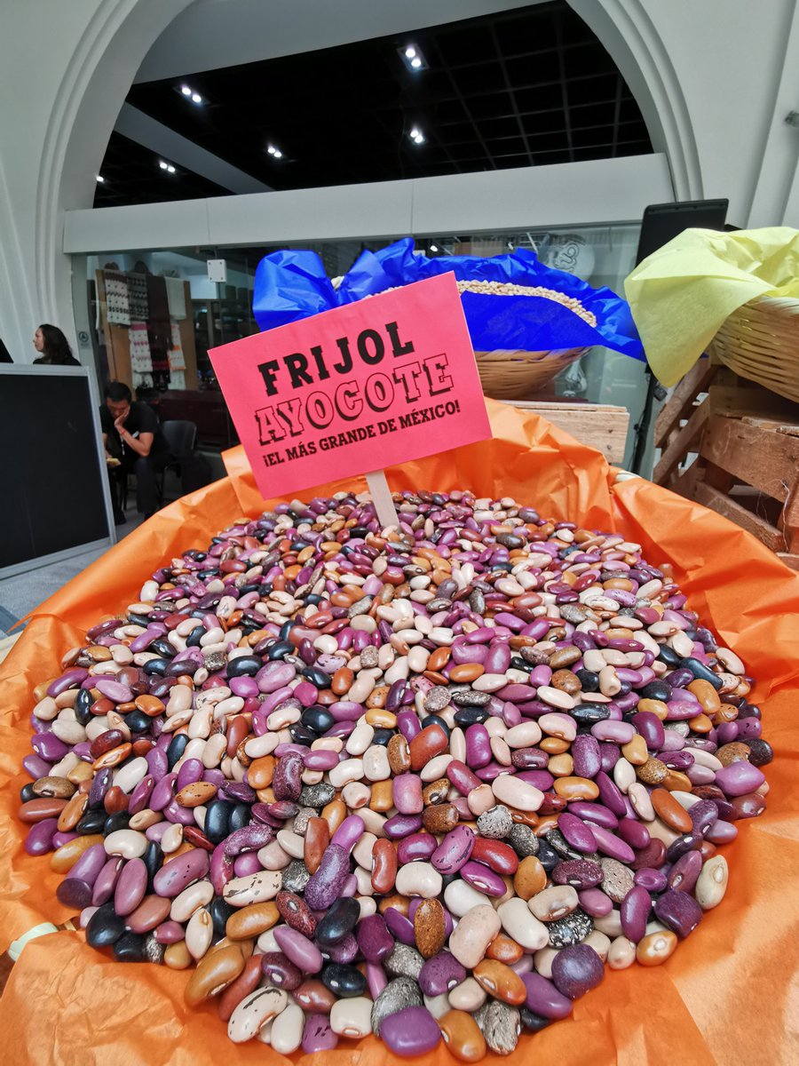 FoodandTravelMX's tweet photo. #DaleChamba al chile pasilla Mixe, al jitomate arriñonado, al frijol ayocote, al chile chilhuacle, al frijol vaquita, a la manzana panochera, a la pepita de calabaza gruesa, al chile poblano, a la pera de San Juan, entre otros. ¡Prepara diversos platillos! @WWF_Mexico https://t.co/y04ZF8MDR7