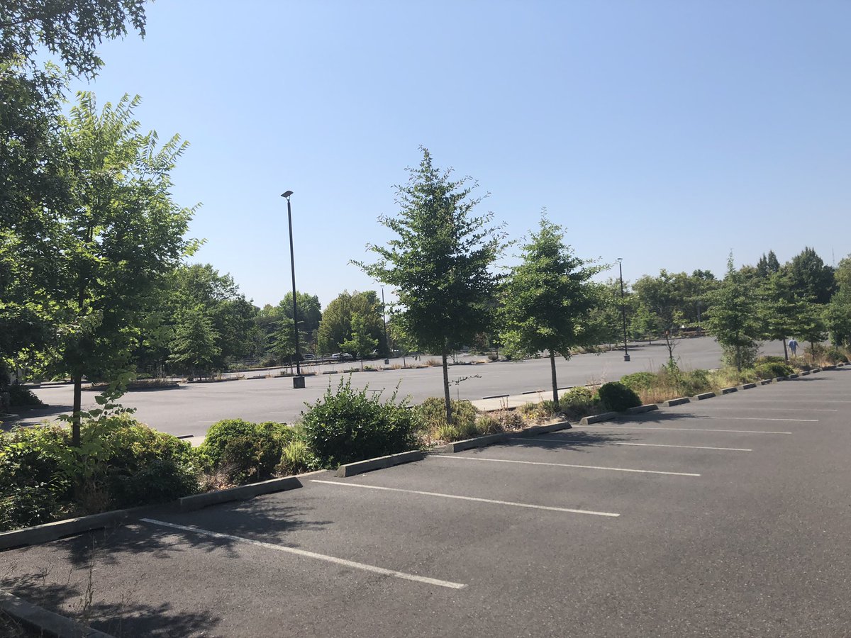 BizballMaury's tweet photo. This is the true wild card for the Lloyd Center site. There is a theater and overflow parking across from the mall. Eyeballing it itโs probably close to 30 acres. Mall owners have closed off the parking and theater on life support. Condos were planned here. #MLBToPortland https://t.co/m09N9trOhM