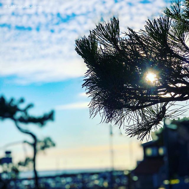 laminutetourism's tweet photo. Ambiance feutrée pour cette fin de soirée en attendant le coucher du soleil.
Le Port de La Palmyre
Août 2019
#laminutetourisme
#lapalmyre
#ocean
#sunset
#sunsetlovers
#nightlife
#spotlight
#picoftheday
#infinimentcharentes
#igerslarochelle
#igersc… https://t.co/B1FdudbDJ2 https://t.co/mnMIvven5U