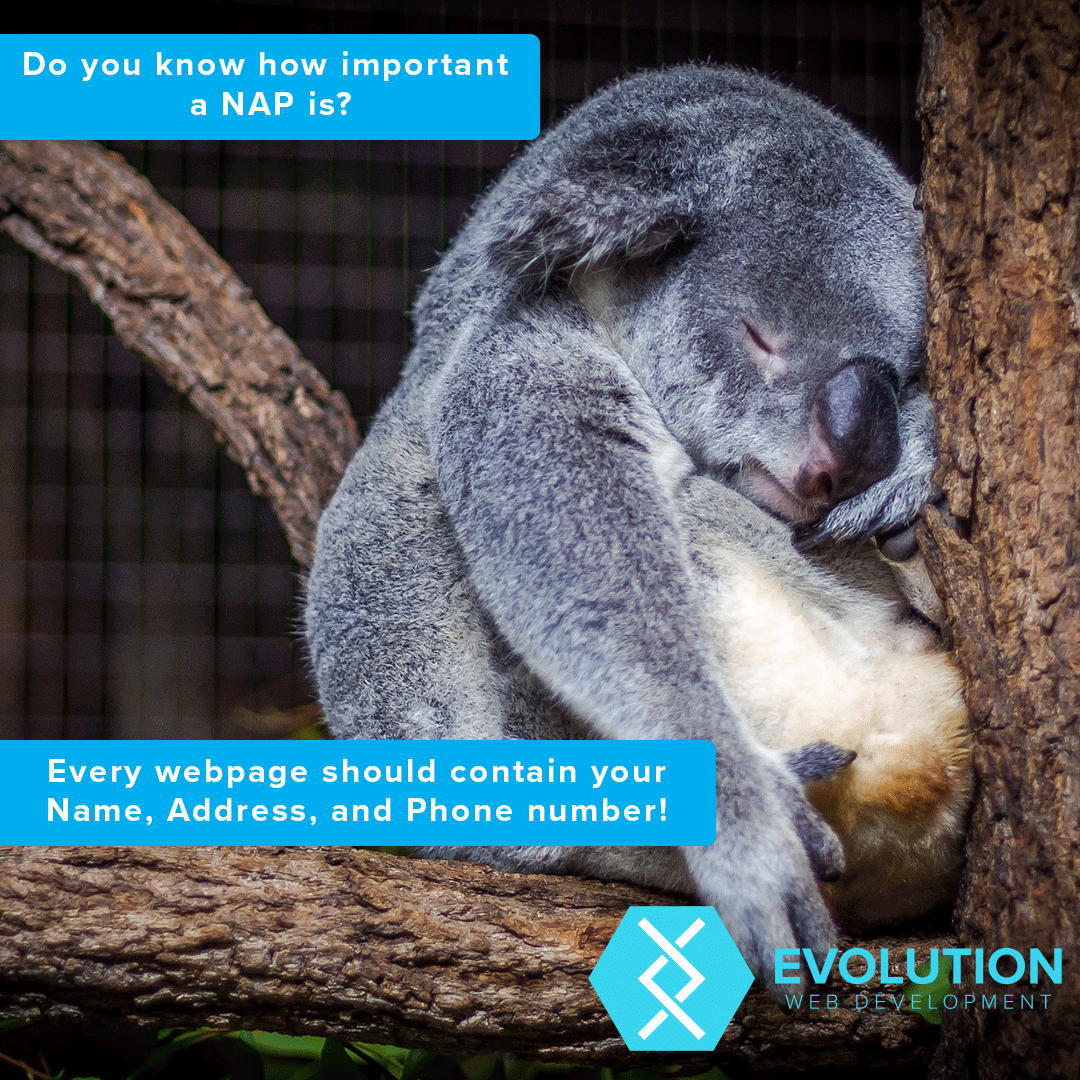 evowebdev's tweet photo. An online presence is really important to drawing in customers. How will they contact you though? All webpages on your website should have your Name, Address and Phone Number on it so whatever page they're on, they will find you!

#evowebdev #isleofwight #webdev #NAP #koala #dev https://t.co/loIrqNAOgJ