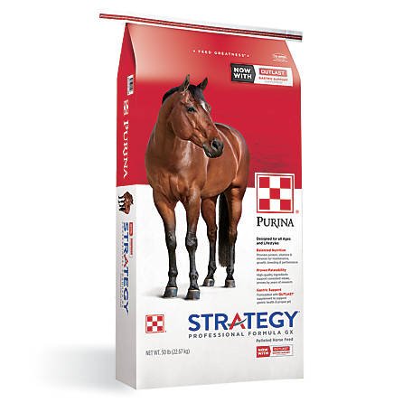 ElkCityCoop's tweet photo. SALE!!!!
Strategy GX Horse Pellets
$3.00 off a sack 
While supplies last.
No rain checks. #feedgreatness #elkcityok #farmerscoop #horses #rodeo #rodeolife #horsefeed #purinaanimalnutrition #strategygx https://t.co/t9E9KRY93w
