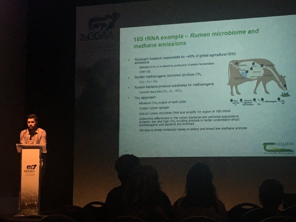 Professor Sharon Huws (@sharonhuws) on Twitter photo <a href="/PaulSmid94/">Paul Smith</a> telling us about development of standards for rumen microbiome based amplicon sequencing as part of the <a href="/RumenPredict/">RumenPredict</a> <a href="/FACCE_ERAGAS/">FACCE ERA-GAS</a> project #GGAA2019 <a href="/PaulSmid94/">Paul Smith</a> telling us about development of standards for rumen microbiome based amplicon sequencing as part of the <a href="/RumenPredict/">RumenPredict</a> <a href="/FACCE_ERAGAS/">FACCE ERA-GAS</a> project #GGAA2019
