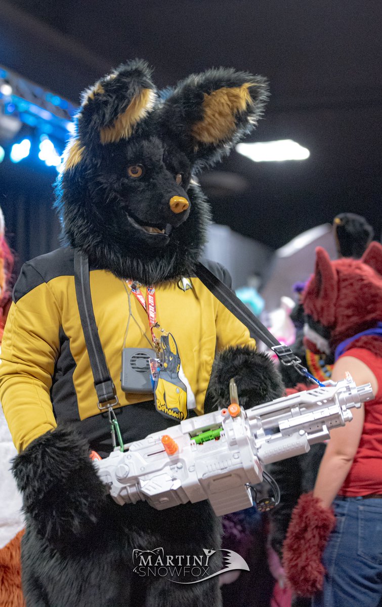 Behawolf's tweet image. Hello Twitter, 

Had a wonderful time at @DenFurCO Wanted to know who all got photos of me! I know @martinisnowfox got some good ones, here's what I looked like at the con! So people can tag me and others! #fursuit (credit to @martinisnowfox for the great pictures!)