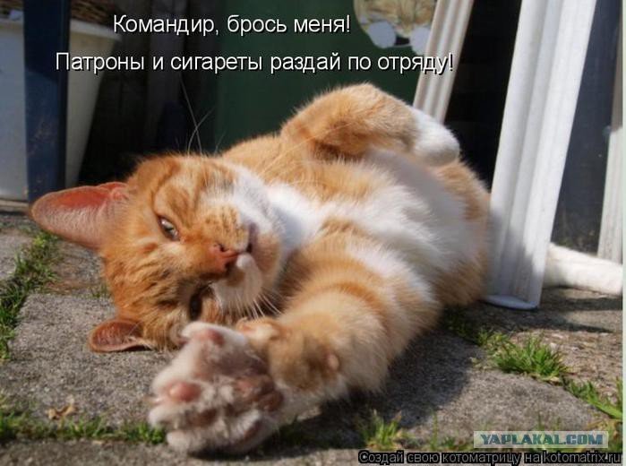 ну давай брось меня брось. ну давай брось меня брось. почему он а не я мем. брось меня командир. брось пить.