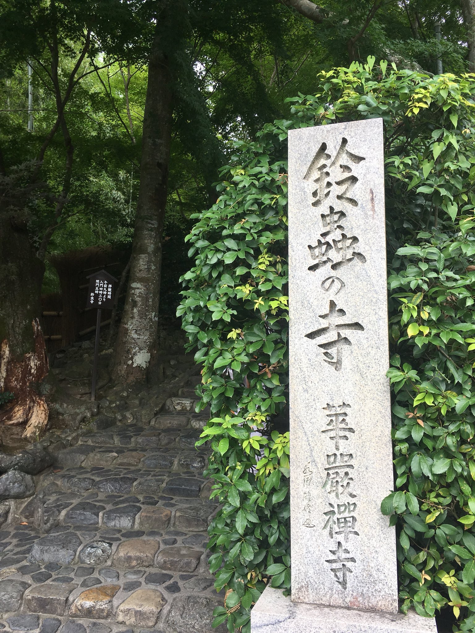 寿々むし Twitter Search Twitter