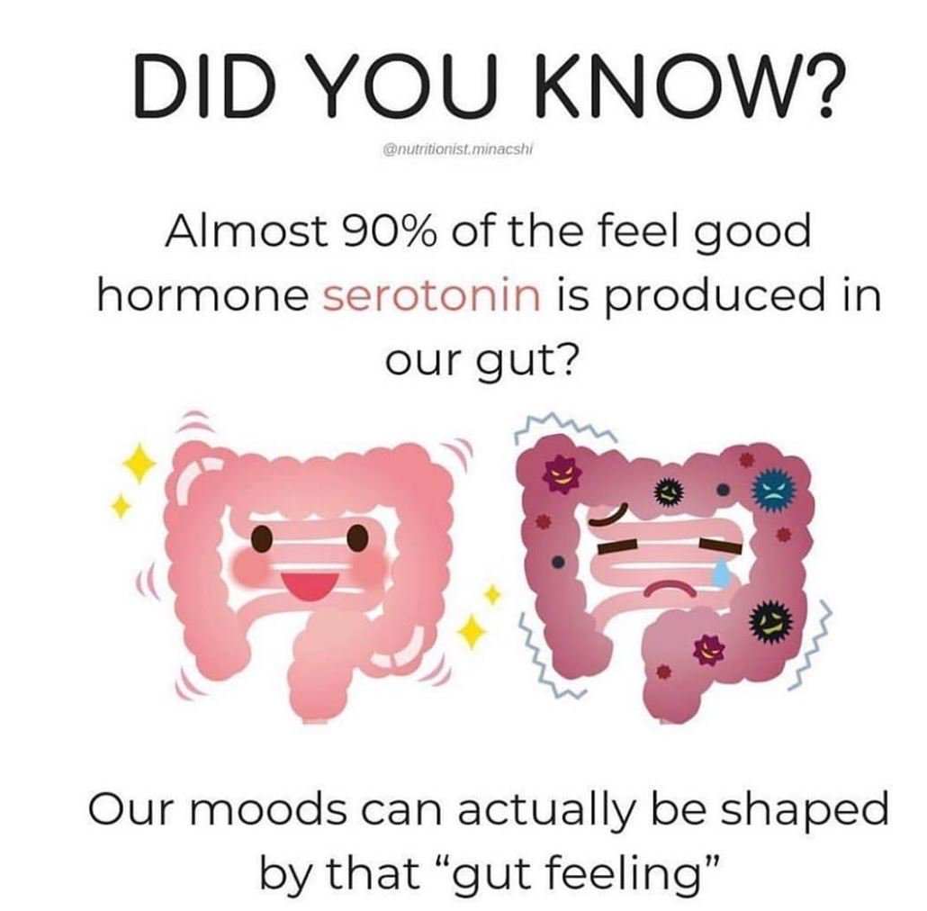 OneGreatGut's tweet photo. Get real help with your gut challenges from 70+ experts by watching this free documentary.
Happy Mood. Happy Gut.
https://t.co/gz5XoPznam
#MondayNightIBD #crohnsdisease #gerd #acidreflux #guthealth #microbiome #chrones #ulcerativecolitis #IBDwomen #jpouch #ostomy #colostomy https://t.co/ZFHbSSSHPk