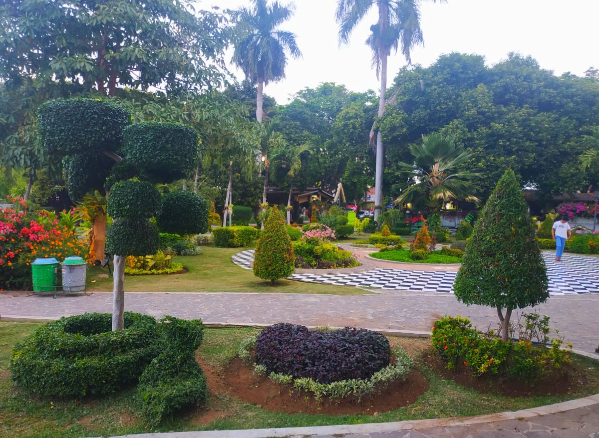 bwangiberkebun's tweet photo. Suasana pagi di Taman Sritanjung. Sejuk, pas buat olahraga pagi :)
*photo by Nanang S.
@bayuhadiyanto2 
@IDberkebun 
@AzwarAnas_A3 https://t.co/PdtZjTBLqN