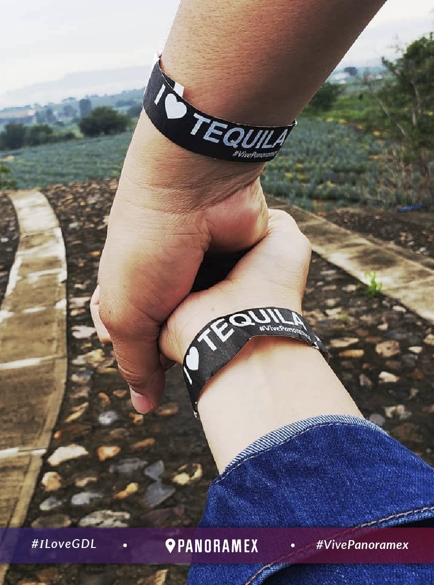 PanoramexTours's tweet photo. ¡Ellos son nuestros Viajeros Panoramex! 📸🗺 Comparte con nosotros tus fotografías utilizando el #ILoveGdl y #VivePanoramex :D
Reservar aventura: https://t.co/bqflancy9S ⬅️
#FelizLunes #BuenLunes https://t.co/QRKqVvX2pm