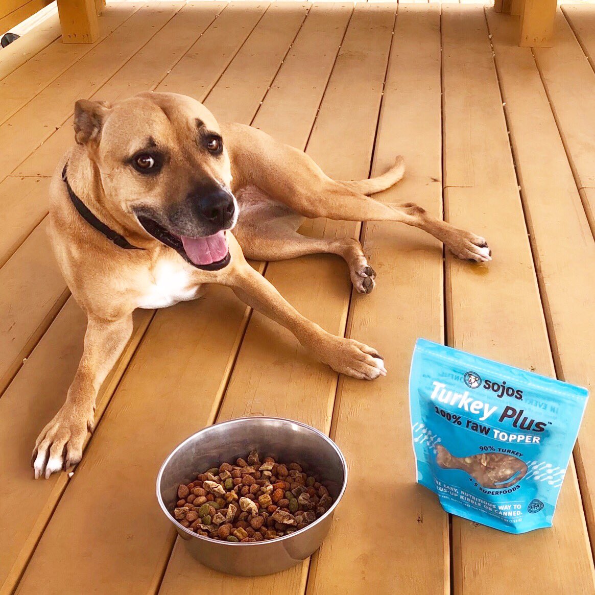 Is Sojos Dog Food Human Grade