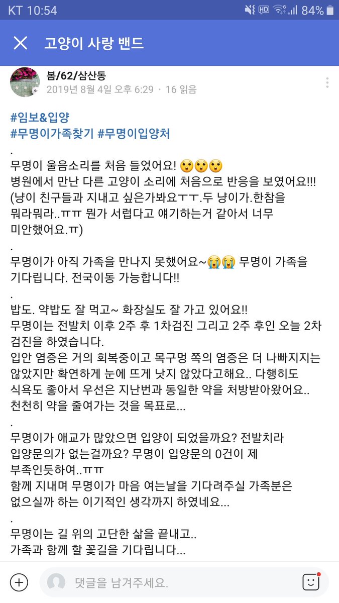Hiku__1's tweet photo. https://t.co/ubwu4UZhcK
#임보 #사지말고입양하세요 #고양이입양
임보&amp;입양 구해요
무명이 가족의 가족이 되어주세요 링크 남겼어요ㅜㅠ 
https://t.co/IoksgfMbeT
무명이 가족찾는데 도와주세요 
좋은 기억남 남겨주세요ㅜㅠㅜ https://t.co/6An8MSYOkZ